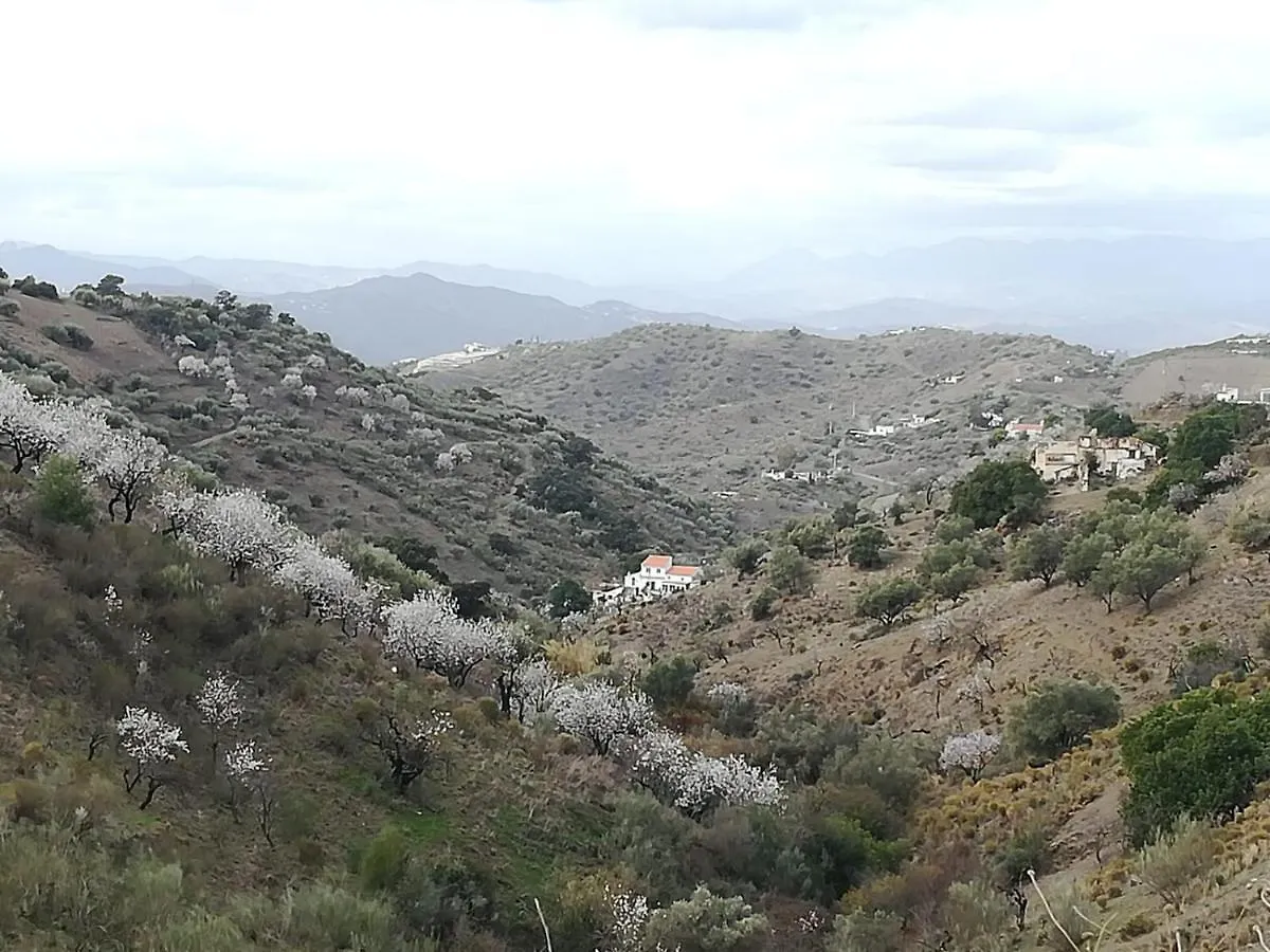 Bed and Breakfast Casa Aguila 2.0 Los Valverde