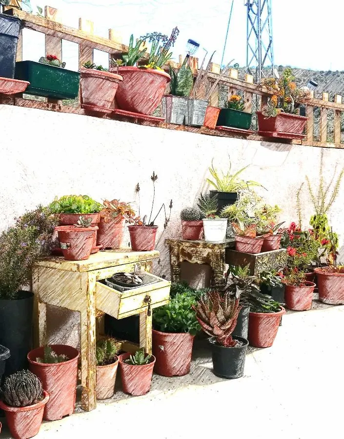 Bed and Breakfast Casa Aguila 2.0 Los Valverde